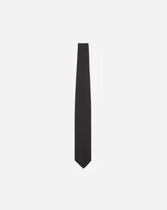 Lanvin Tie in Satin